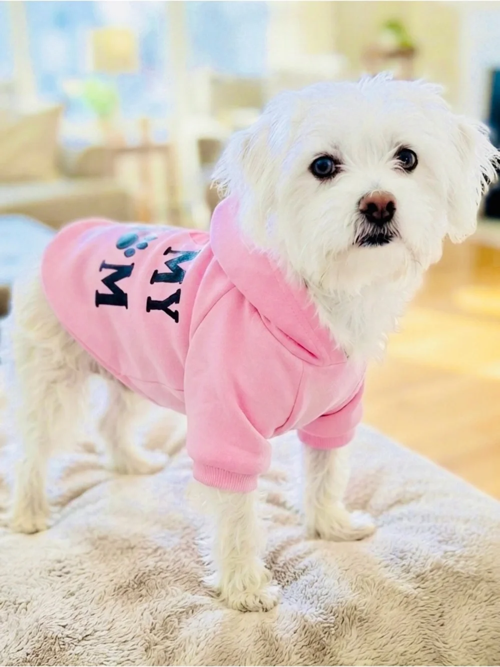 I 🩷 MOM - sweatshirt for that special dog